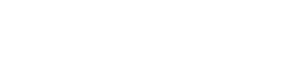 Tatiane de Liz